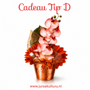 Moederdag Cadeau Tip D